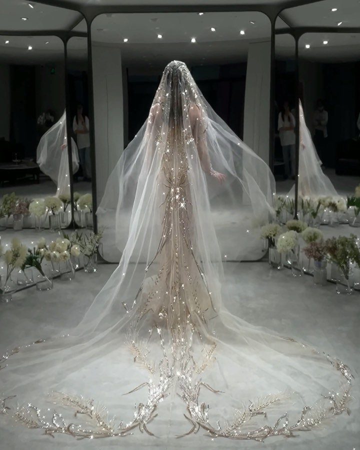 Art Deco Wedding Dress: 11 Styles From Beaded Trains to Choker Accents 9 A bride in a sheer wedding dress with shimmering beaded patterns and a long train.