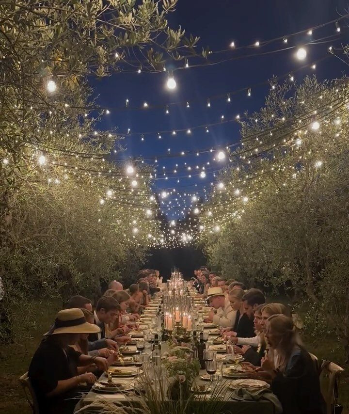 Guests dining at a long table under glowing string lights in an olive grove at night.